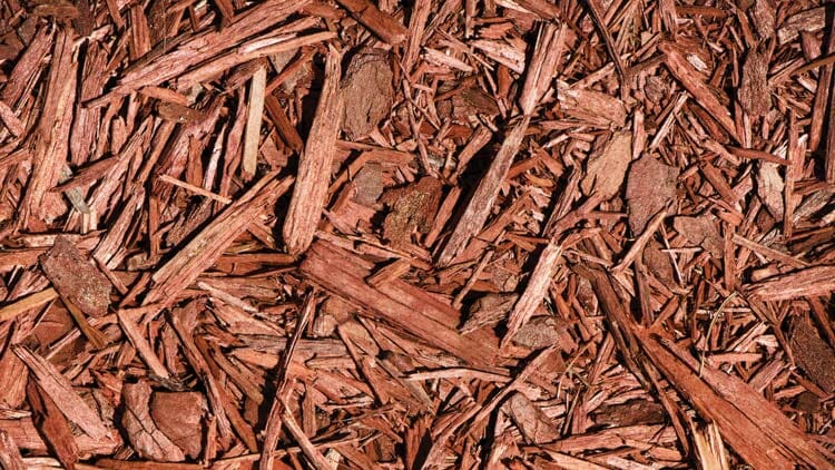 Red (Dyed) Mulch Bulk